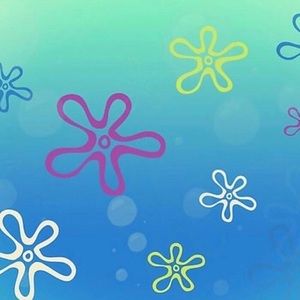 Meet your Posher, Tessa